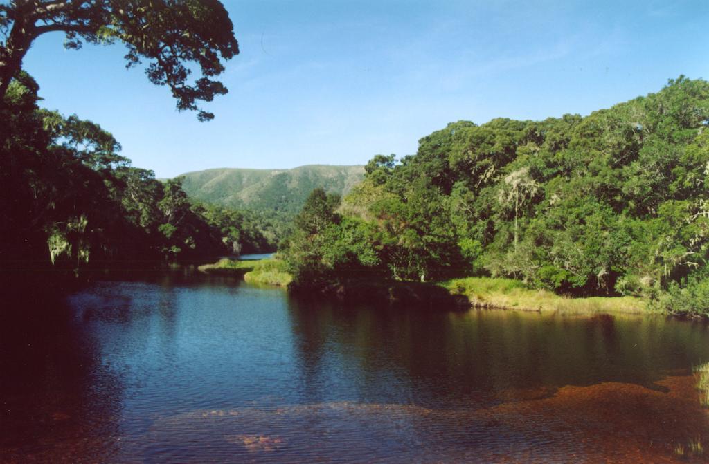 Tranquility Lodge Natureʼs Valley Buitenkant foto